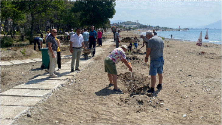 Akmaz Halk Plajı'nda Ağaçlandırma Seferberliği