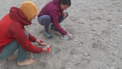 Duyarlı Rus vatandaşlar sahili temizledi